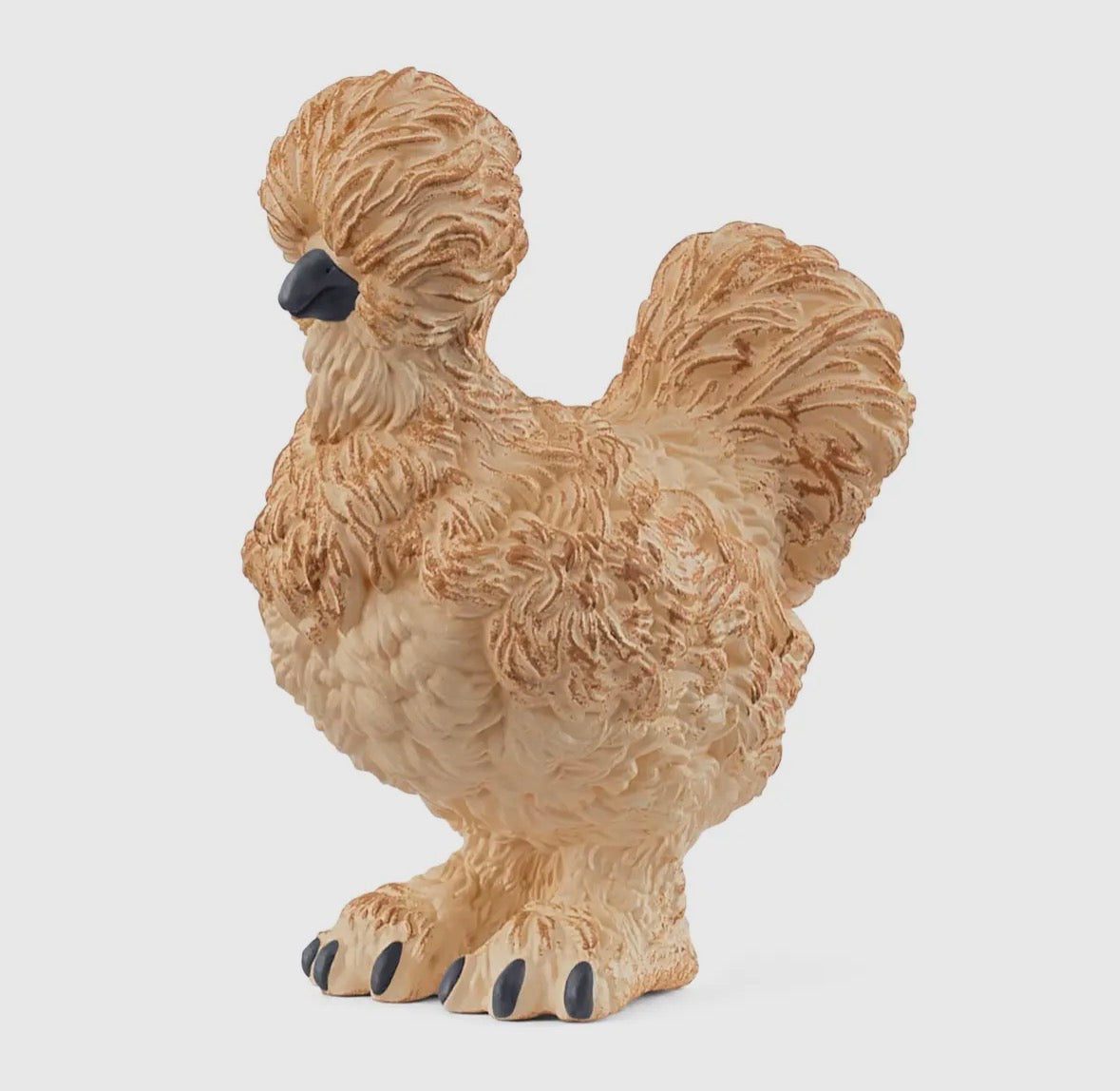 Silkie Chicken