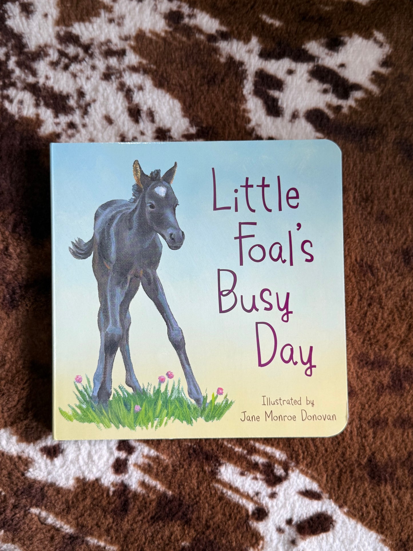 Little Foal’s Busy Day