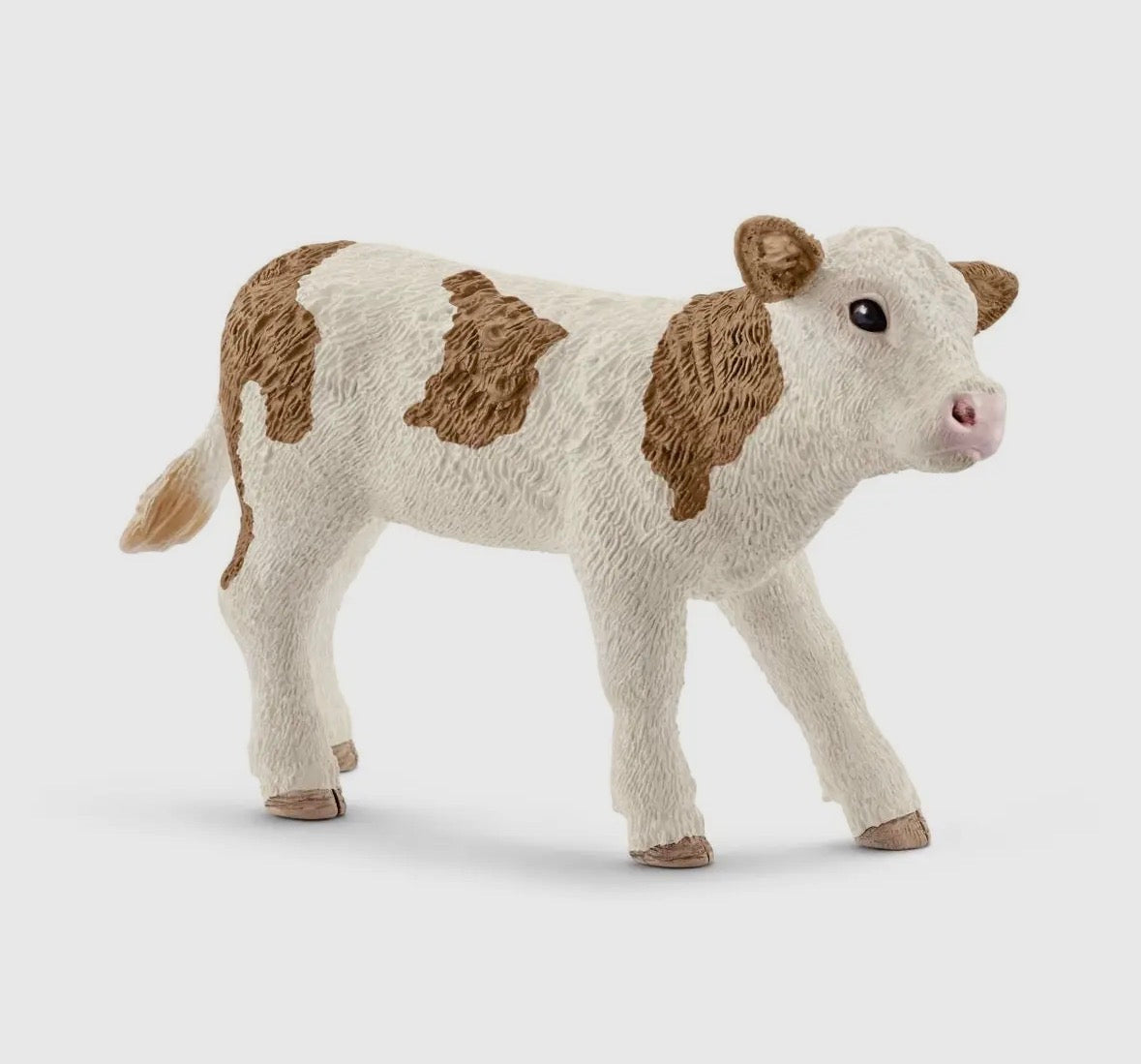 Simmental Calf