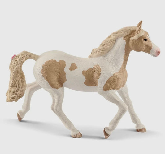 Paint Horse