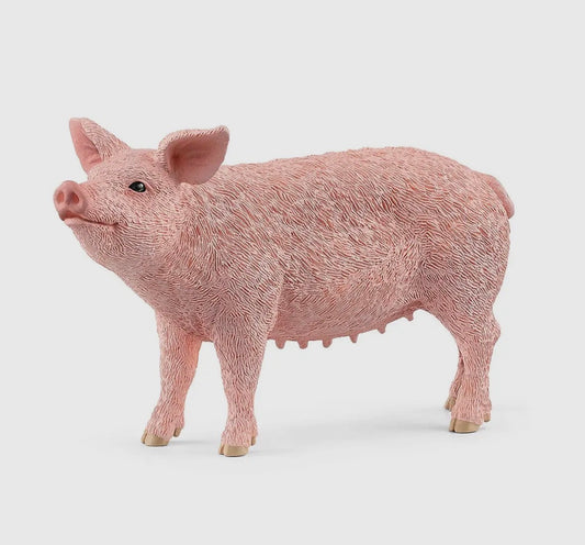 Pig