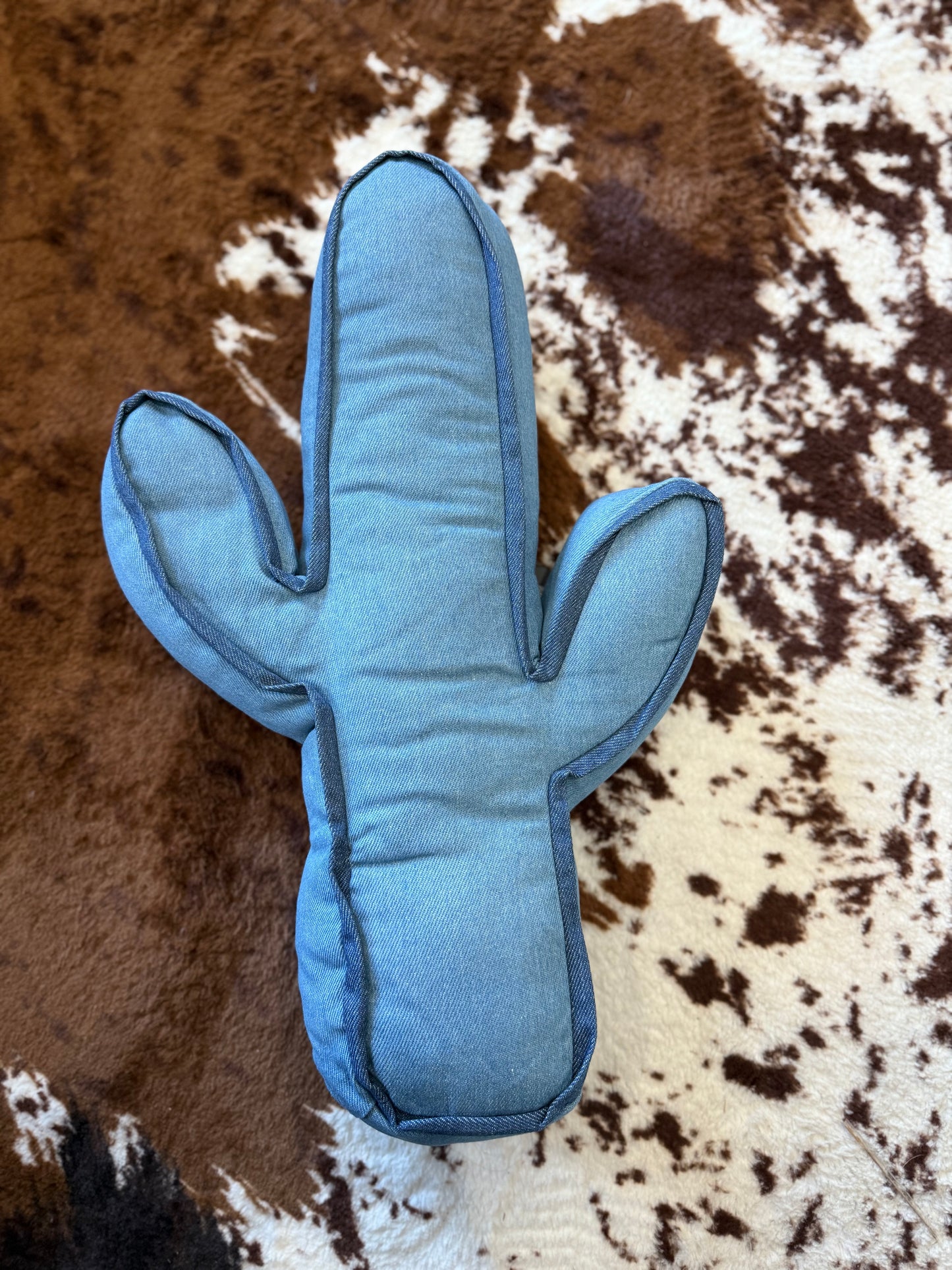Kick A Cactus Pillow