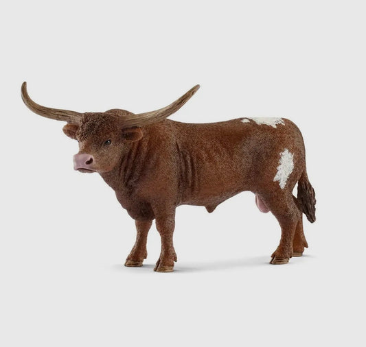 Longhorn Bull